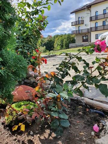 Фото Гостевой дом PENSIUNEA CRASNA г. Aninişu din Vale 3